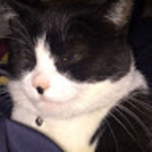 Meet your Posher, Ali